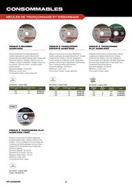 Catalogue Prolians page 60