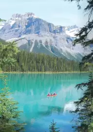 Flight Centre brochure Page 14