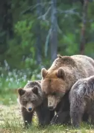 Flight Centre brochure Page 2