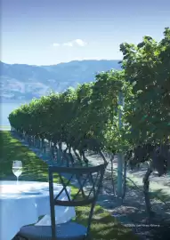 Flight Centre brochure Page 31