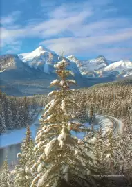 Flight Centre brochure Page 67