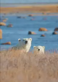 Flight Centre brochure Page 89