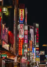 Flight Centre brochure Page 14