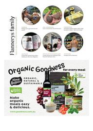 Flannerys catalogue Page 31