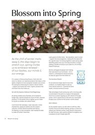 Flannerys catalogue Page 4