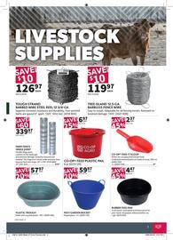 Co-op flyer Page 4