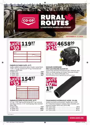 Co-op flyer (valid until 17-09)