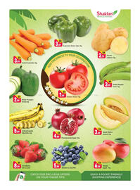 Shaklan leaflet Page 2