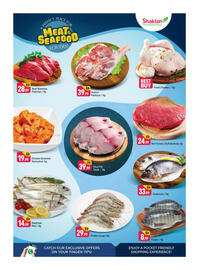 Shaklan leaflet Page 3