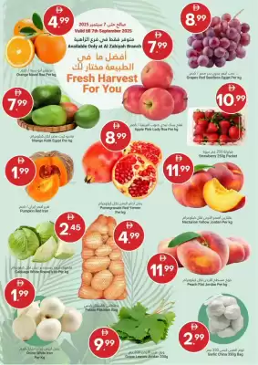 Grand Emirates Market catalogue (valid until 7-09)