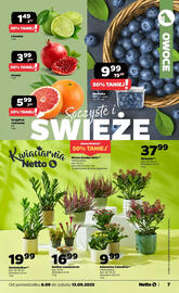 Netto gazetka tydzień 37 Strona 7