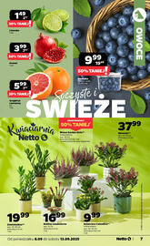 Netto gazetka tydzień 37 Strona 7
