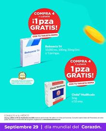 Catálogo Farmacias Roma Página 12