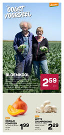 Ekoplaza folder week 37 Pagina 12