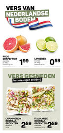 Ekoplaza folder week 37 Pagina 13