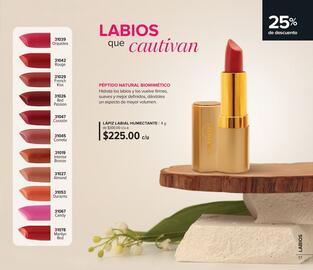 Catálogo Terramar Brands Página 17