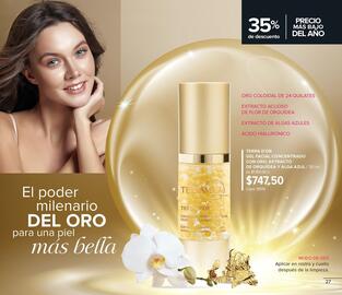 Catálogo Terramar Brands Página 27