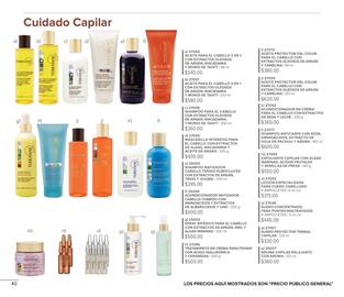 Catálogo Terramar Brands Página 40