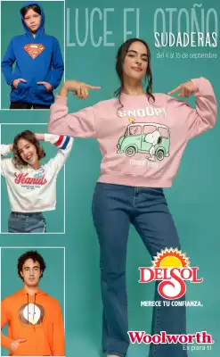 Folleto DelSol (válido hasta 15-09)