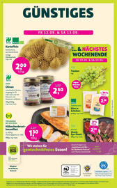 Biomarkt Prospekt Seite 12