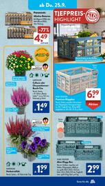 Aldi Süd Prospekt woche 39 Seite 11