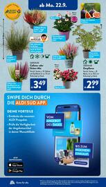 Aldi Süd Prospekt woche 39 Seite 16