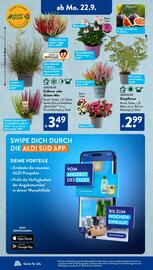 Aldi Süd Prospekt woche 39 Seite 7