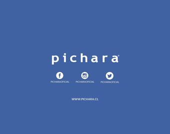 Catálogo Pichara Página 17