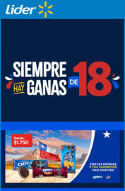 Catálogo Lider semana 36 Página 1