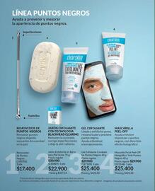 Catálogo Avon Página 116