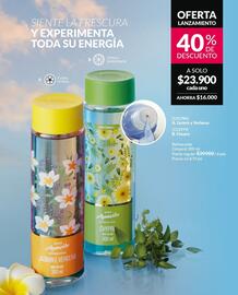 Catálogo Avon Página 172