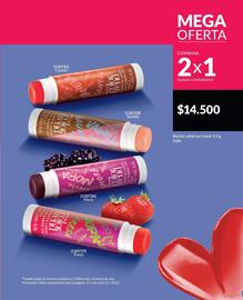 Catálogo Avon Página 19