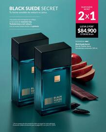 Catálogo Avon Página 82
