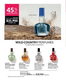 Catálogo Avon Página 85