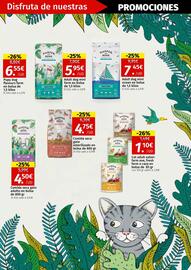Folleto Maskom Supermercados Página 29