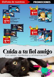 Folleto Maskom Supermercados Página 31