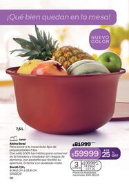 Folleto Tupperware Página 31