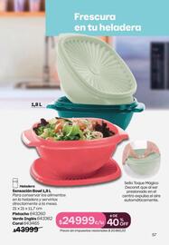 Folleto Tupperware Página 58