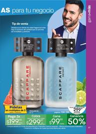 Catálogo Fuller Página 17