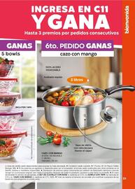 Catálogo Fuller Página 29