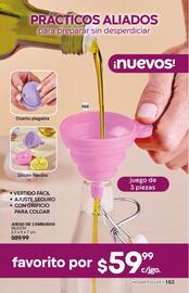 Catálogo Fuller Página 165