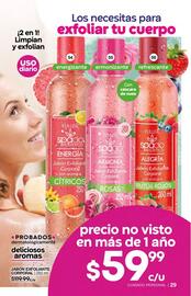 Catálogo Fuller Página 31