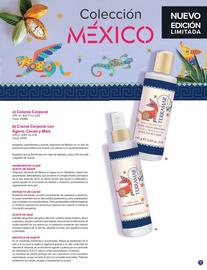 Catálogo Terramar Brands Página 11