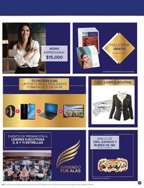 Catálogo Terramar Brands Página 31