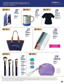 Catálogo Terramar Brands Página 37