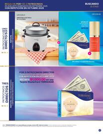Catálogo Terramar Brands Página 41