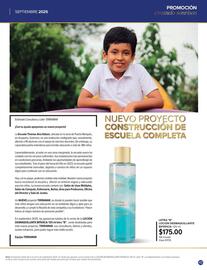 Catálogo Terramar Brands Página 43