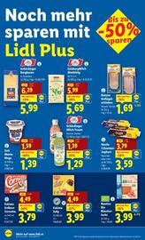 Lidl Flugblatt woche 37 Seite 13