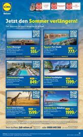Lidl Flugblatt woche 37 Seite 20