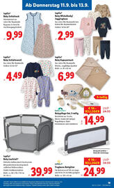 Lidl Flugblatt woche 37 Seite 21
